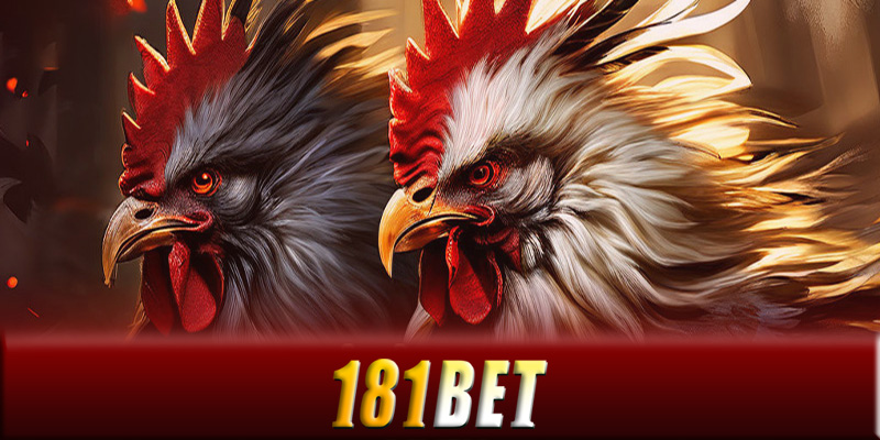 Hướng dẫn đăng ký tài khoản tại đá gà 181Bet