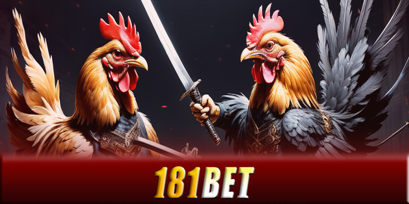 Đá gà 181Bet - Thiên đường chơi đá gà online cho ai đam mê